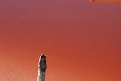 cbaud-photo-salines-001