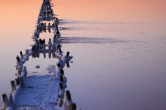 cbaud-photo-salines-005