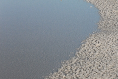 cbaud-photo-salines-012