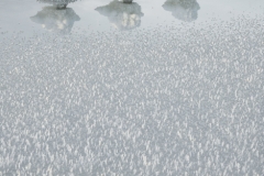 cbaud-photo-salines-014