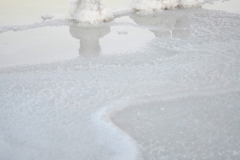 cbaud-photo-salines-020