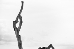 cbaud-la-photo-silhouettes-auteur-photographe-11