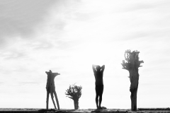 cbaud-la-photo-silhouettes-auteur-photographe-13