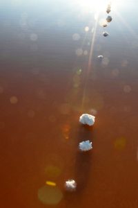 cbaud-photos-salines-art-photographe-02