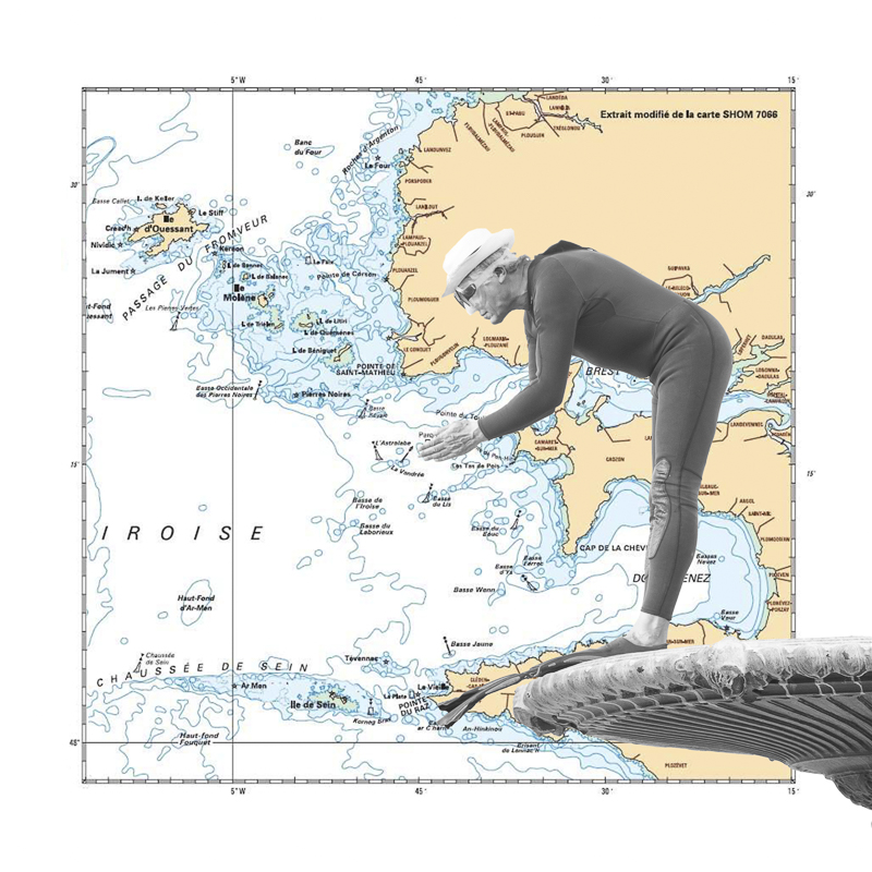 M. Panama plonge en mer d'Iroise - photo collage numérique - cbaud